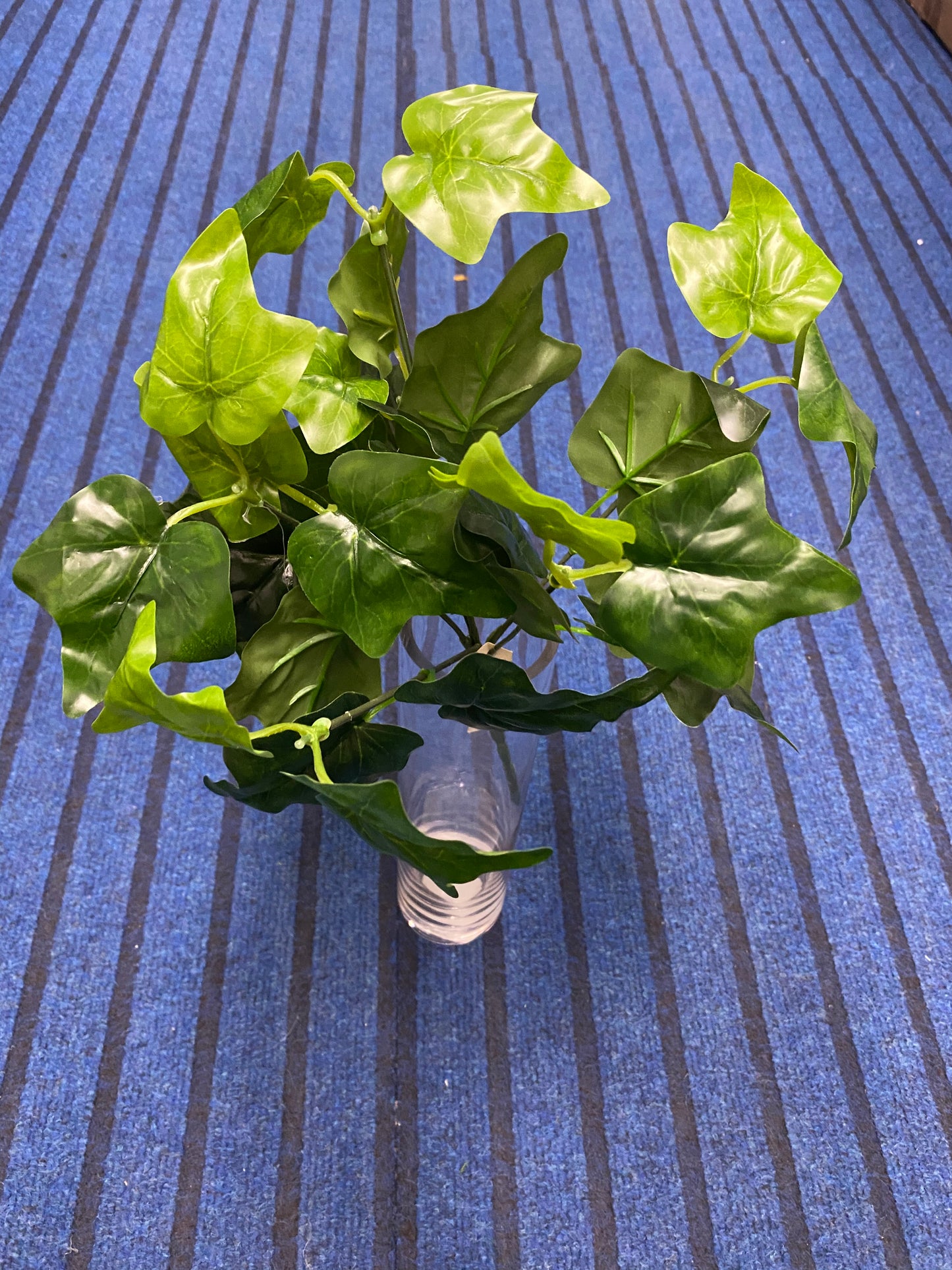 Green Leaves. 7004