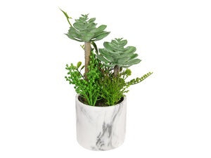 30CM SUCCULENTS IN MARBLE POT . PLASUCMP