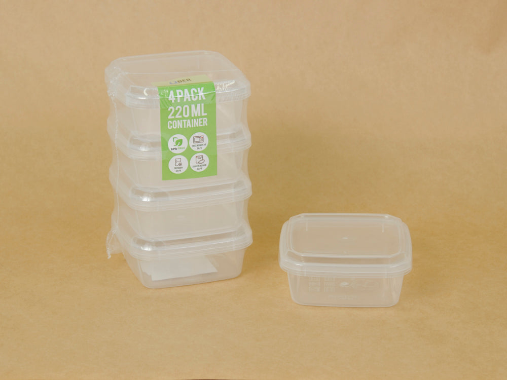 SQUARE MINI CONTAINER SET/4 L021-P4.