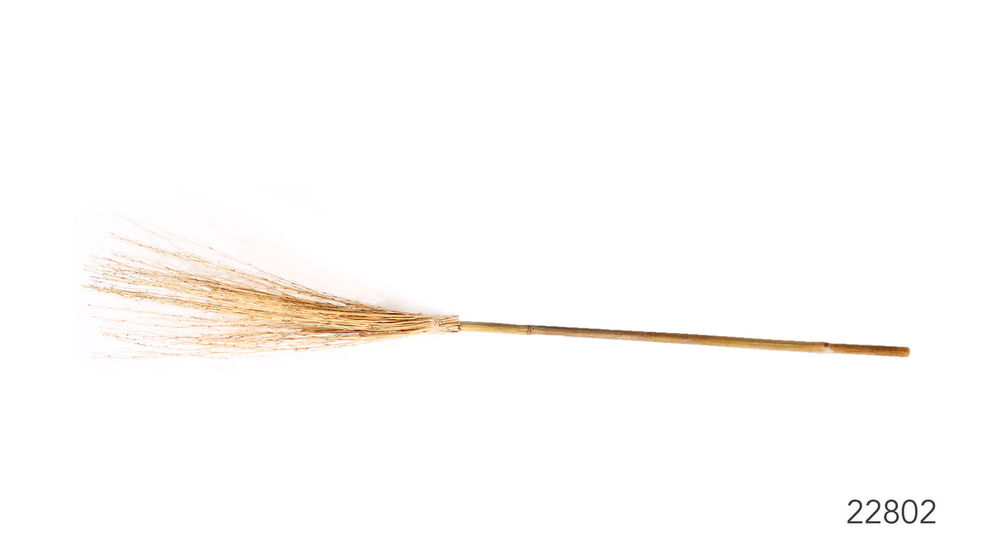 Witch Broom (S) (22802)