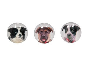 5CM GLASS DOG MAGNET 3 ASSTD. MAGDOGG