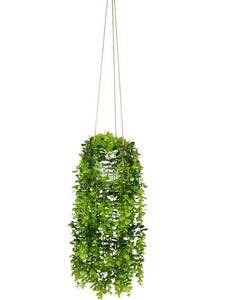 100CM HANGING GREEN PLANT IN WHITE POT. PLHGRWPD