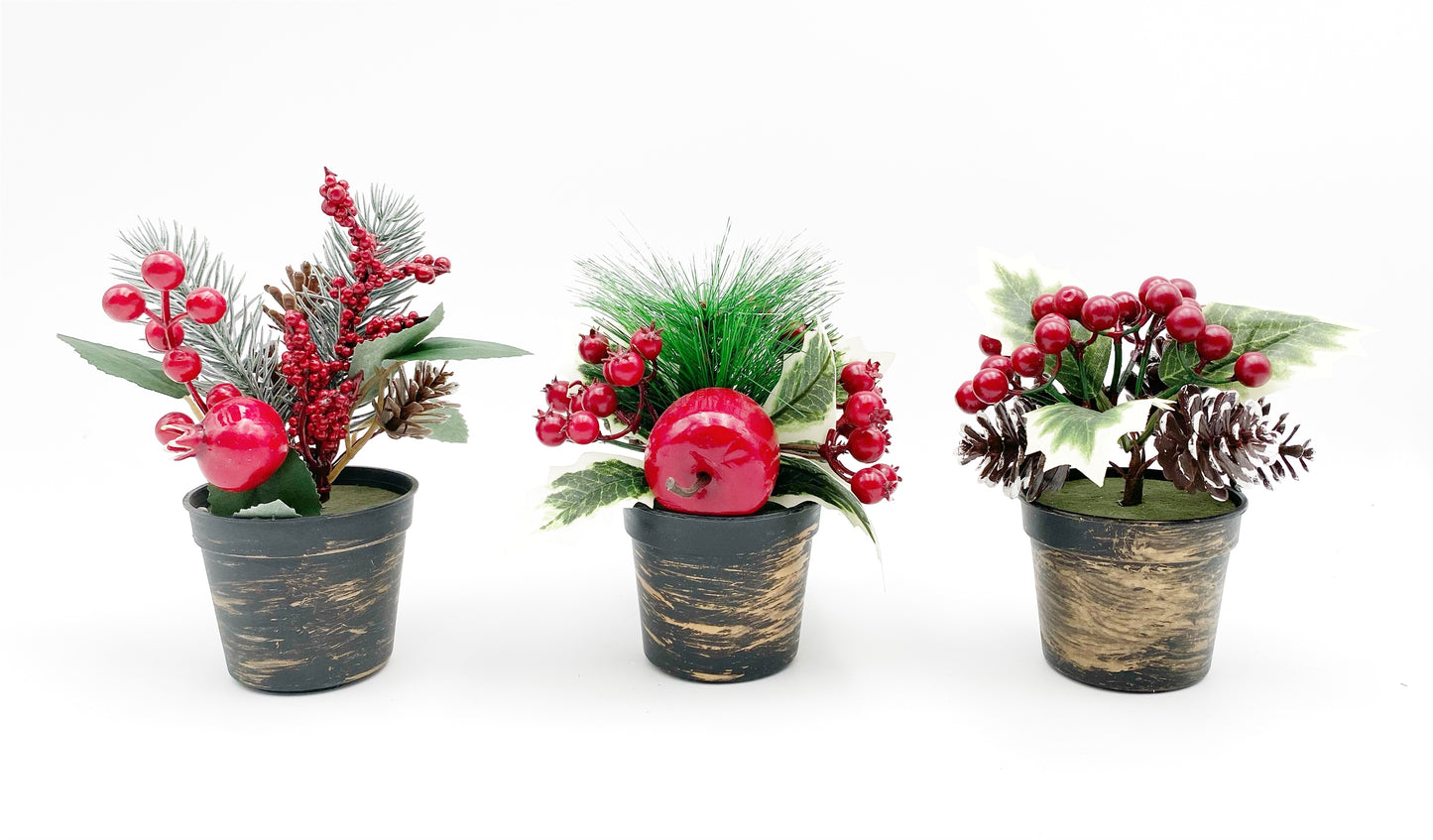 POT OF CHRISTMAS 3 ASST DES .XMS31109