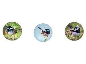 5CM GLASS FAIRY WREN MAGNET .MAGWREN