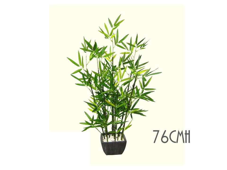 BAMBOO PLANT IN TERRACOTTA POT 76cmH. AFL19529