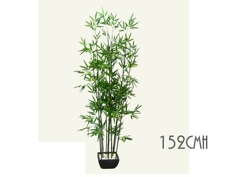 BAMBOO PLANT IN TERRACOTTA POT 152cmH. AFL19530