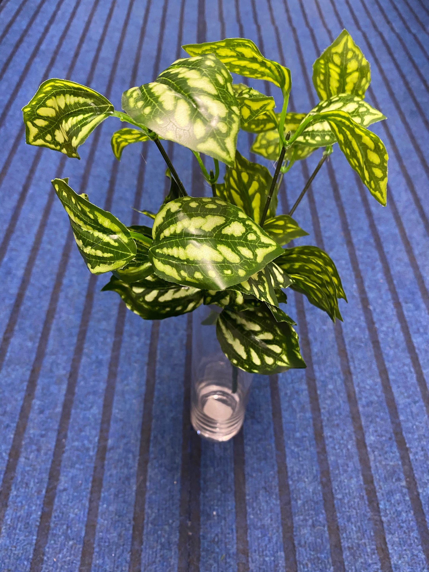 Green Leaves. 7004