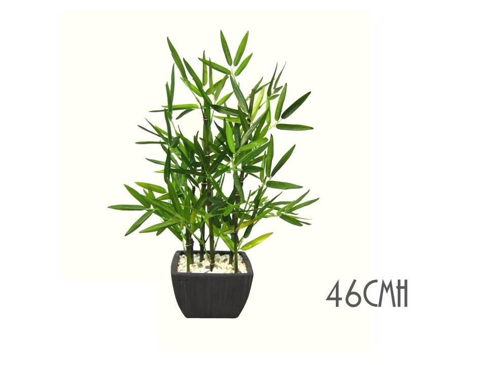 BAMBOO PLANT IN TERRACOTTA POT 46cmH. AFL19528
