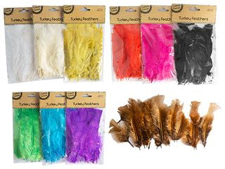 TURKEY PLAIN COL FEATHERS/40 CRAFT 260980