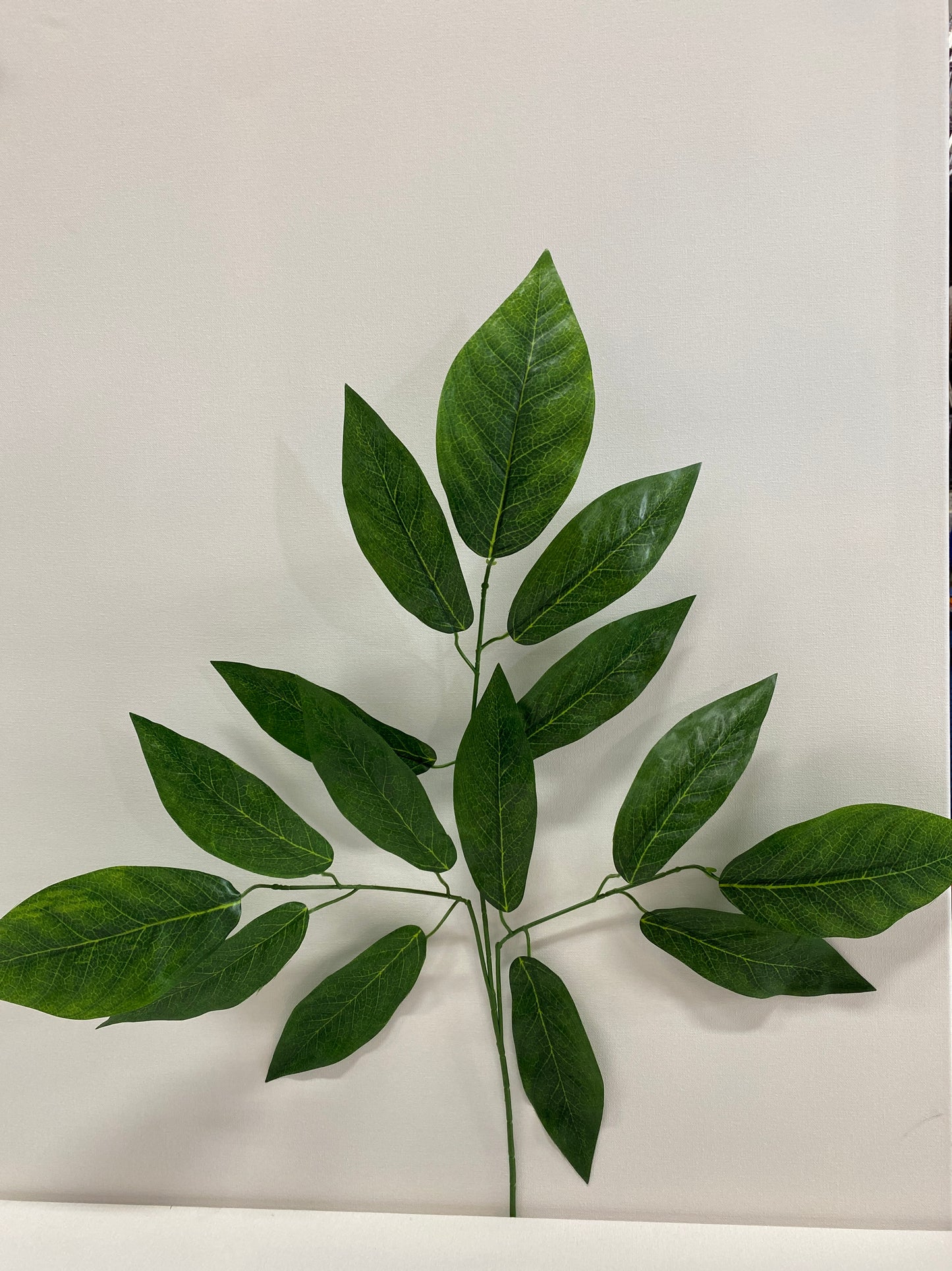 Leaf FL6114M