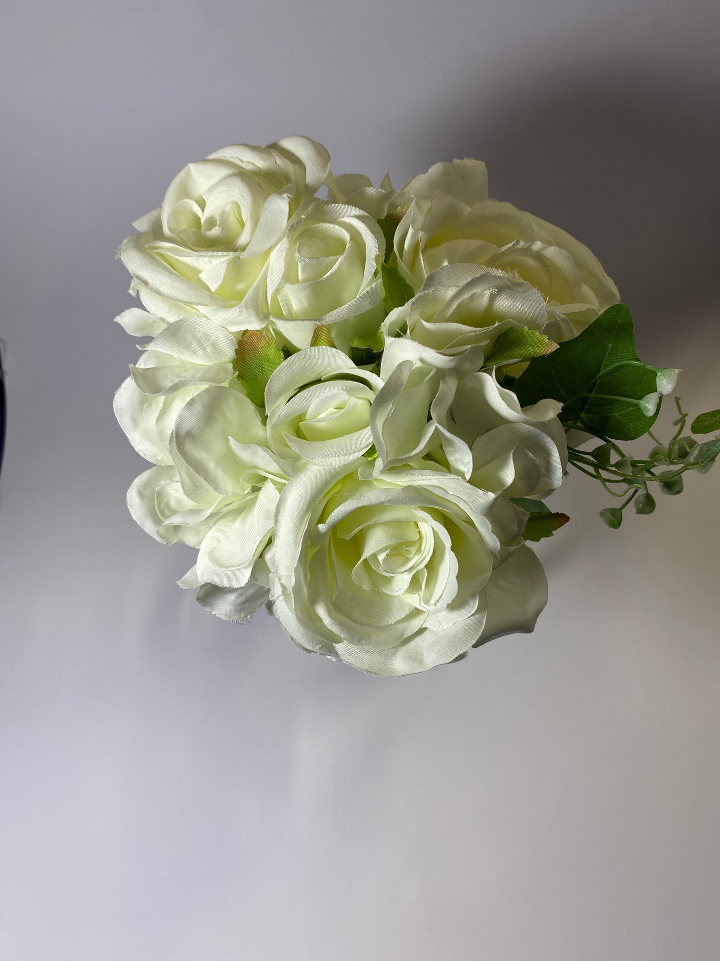 Rose & Hydromgea 2033