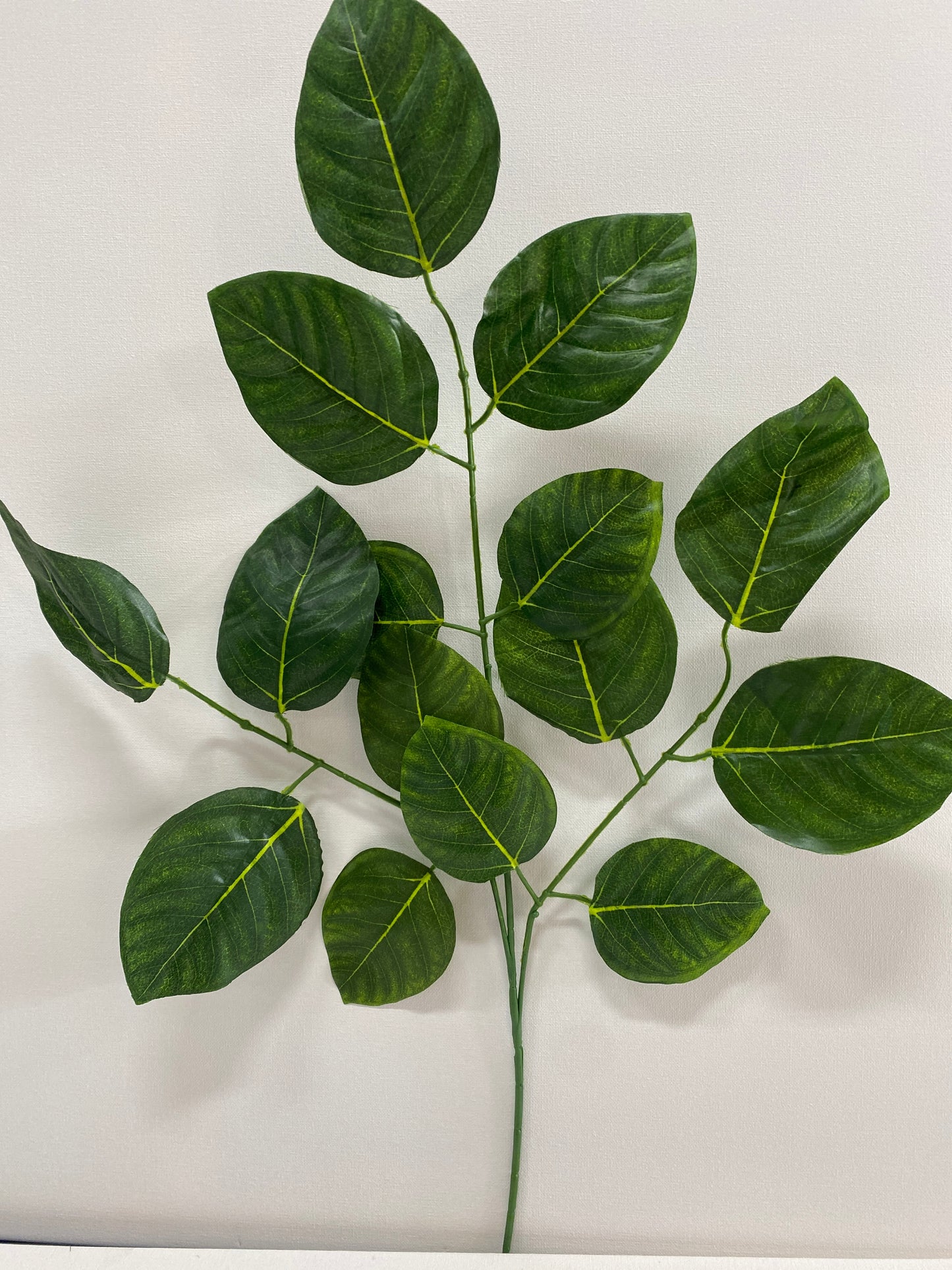 Leaf FL6114P