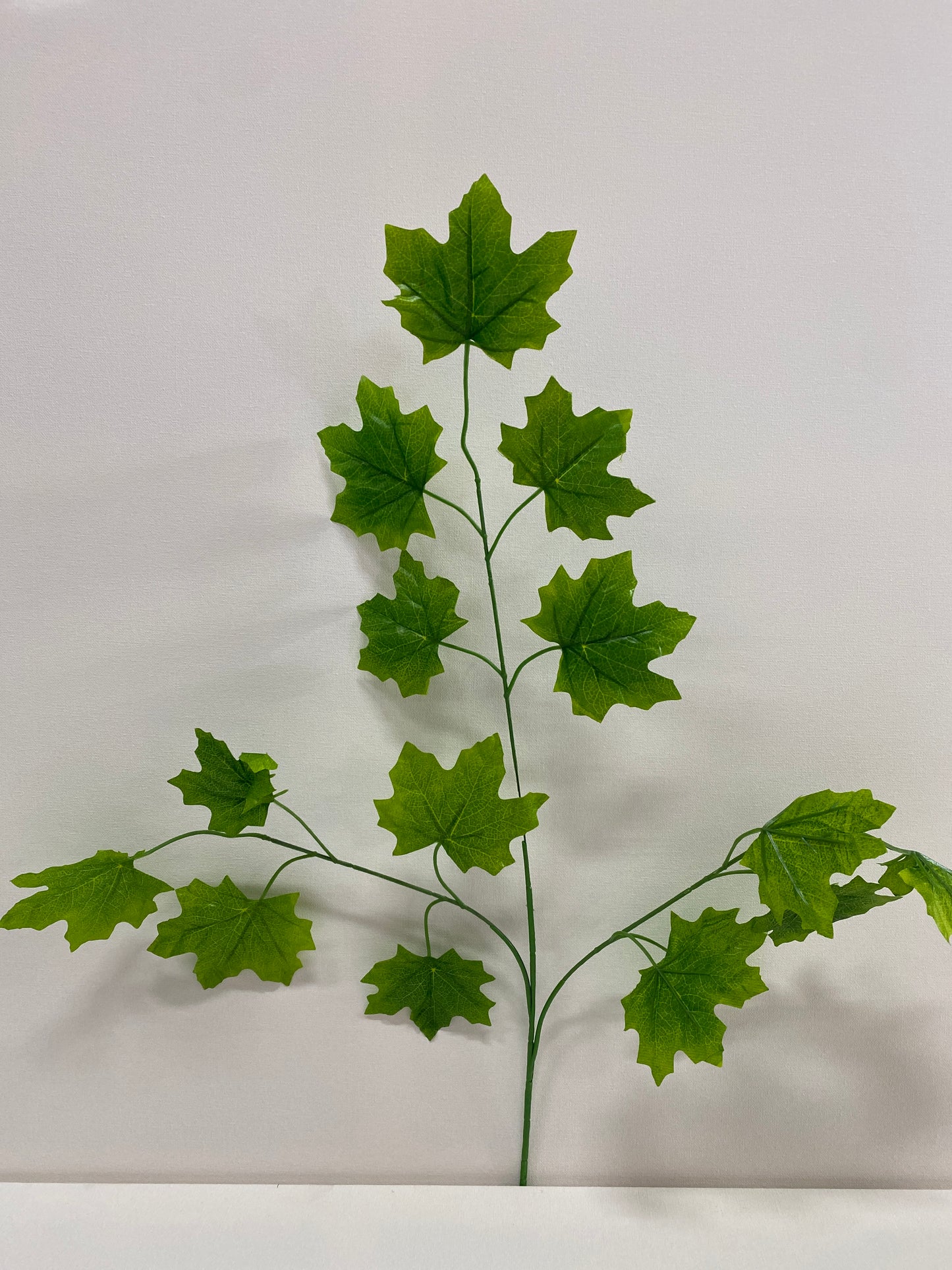 Leaf FL6117M
