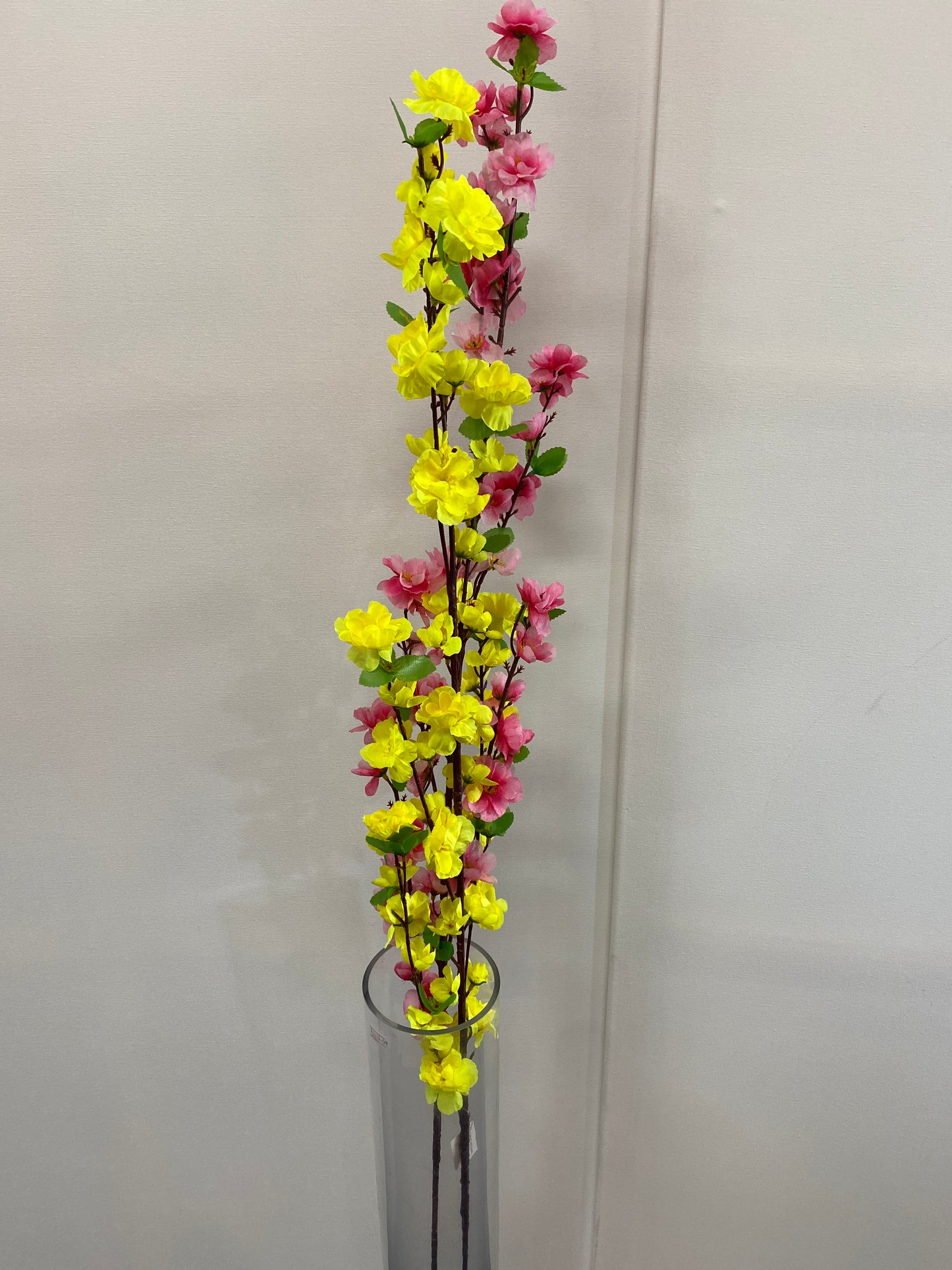 Blossom flower 1044