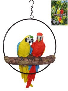 40CM TWIN PARROT BIRDS IN 37CM RING. PARRINGJ