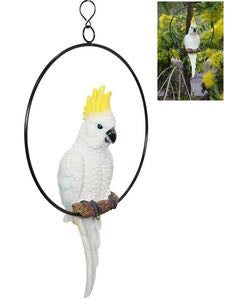 43CM COCKATOO/PARROT IN 25CM RING .COCKRING